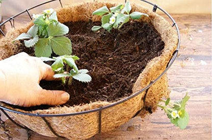 14 inch Coco Liner for planters, 2PCS Replacement Round Plant Basket Liners Natural Coco Fiber Liner for Hanging Basket (14 inch) - size: 14 inch