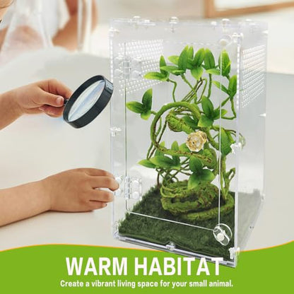 Jumping Spider Enclosure 6x6x10 Inch, Front Opening Tarantula Enclosure | for Spiders Tarantulas & Insects, Reptile Terrarium