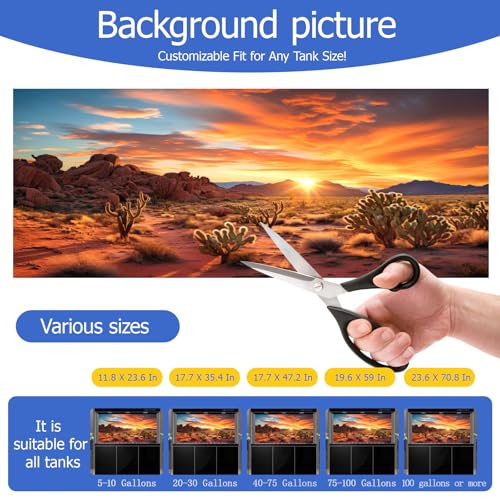 Reptile Background Film, Static Cling, Glue-Free, Desert, 11.8"H×23.6"W | No Glue Static Cling • Spray Water to Apply • Realistic Desert Scene • Natural Terrarium Look • Reusable • Easy Trim - size: 11.8 X 23.6 Inches