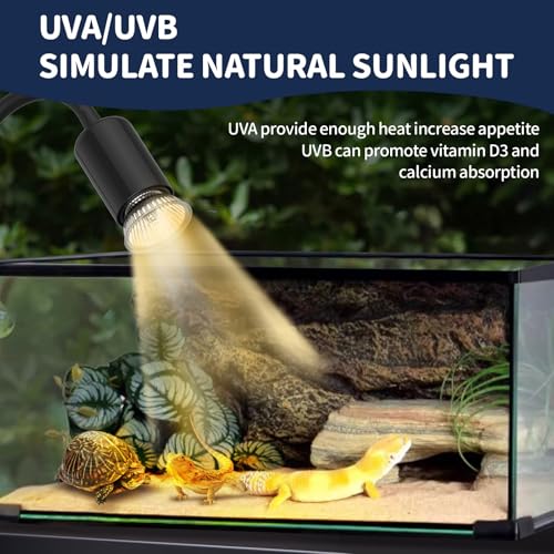 GOZILLA 4 Pack Reptile Heat Lamp, E27 UVA UVB Reptile Light Bulb, Heat Light Bulb for Tortoise, Bearded Dragon, Snakes.(2PCS 25W + 2PCS 50W) - color: Light Bulb-4 Pack (25w*2+50w*2)