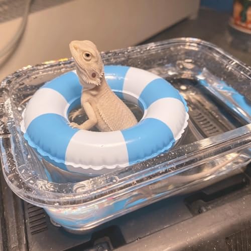 Foldable Bearded Dragon Bathtub with 2Pcs Reptile Mini Swimming Rings & Pump and 1Pcs Soft Brush, Bearded Dragon Accessories, Small Pet Bath Accessories (Blue) - color: Blue