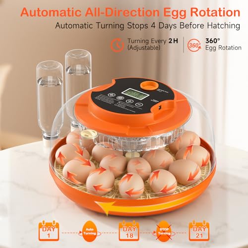 18 Egg Incubators for Hatching Eggs, Automatic Egg Turning and Humidity Control Incubator for Hatch Chicken Duck Quail Pigeon Pheasant Partridge Home Classroom Lab- - size: 18H