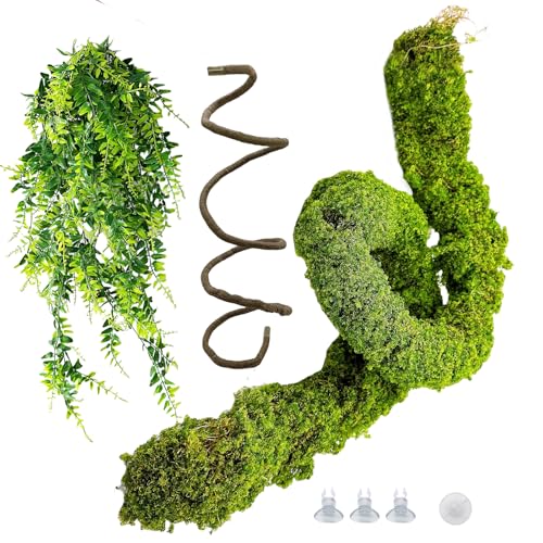 BNOSDM Reptile Plants,Flexible Rainforest Vines with Moss,Bendable Jungle Climbing Vines,Terrarium Artificial Plants Decor for Bearded Dragon,Hermit Crab,Snake,Geckos,Chameleon,Lizard - size: 3Pcs | Style: 43in Rainforest Vines