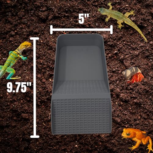 Hermit Crab, Lizard, Turtle, Amphibian XL Watering Pool | Platform Pool Accessory with Access Ramp for Pet Habitats | 9.75" x 5" | Made in USA (X-Large) (Salt Only, Gray) - color: Salt Only, Gray