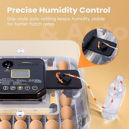 48 Incubators for Hatching Eggs, Egg Incubator with Automatic Egg Turning and Humidity Control, Temp Control, Egg Candler, Auto Water Refilling, Incubator for Chicken Eggs, Duck and Quail Eggs | Egg Candler, Egg Incubator for Chicken, Duck & Quail, Easy t