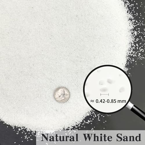 FANTIAN Aquarium White Sand,5 lbs Fish Tank Sand, Aquarium Gravel | Aquarium Substrate Gravel, Safe for Fish Tank Shrimp Turtle, Terrariums, Aquatic, Plant, Fire Pits, Candle, Vase, Craft - color: White-XXS, size: 5 LB