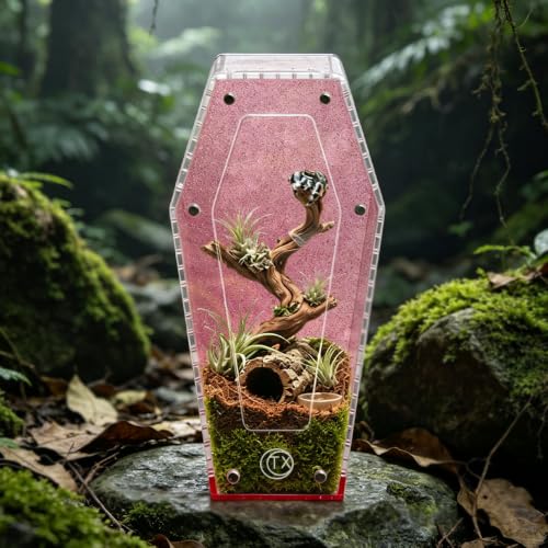 Glitter Acrylic Coffin Jumping Spider Enclosure - Gothic Terrarium Habitat with Magnetic Lid, Micro Reptile Breeding Box for Slings, Mantis, Isopods and Small Insects (Glitter Pink) - color: Glitter Pink