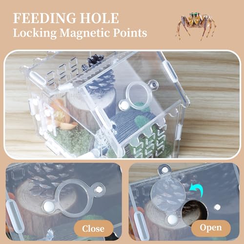 Jumping Spider Enclosure for Small Species, Acrylic Reptile Terrarium Habitat with Feeding Hole for Tarantulas, Praying Mantis, Gecko,Insects, Hermit Crab, Lizard, Snails Isopods - 6"*4"*6"