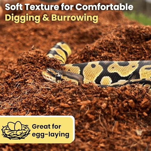 Gro-Med ReptiCare Coconut Fiber Substrate for Reptiles 12 Q, Organic Ready to Use - Odor Absorbent Coco Coir Terrarium Bedding for Ball Pythons, Boas, Snakes, Tortoises, Geckos, Frogs and Tarantulas