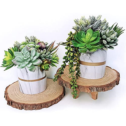 Winlyn 6 Pcs Unpotted Fake Succulents Assorted Faux Succulent in Different Green Artificial Hanging Succulents Textured Faux Succulent Pick Hanging String of Pearls Plant for Wedding Centerpieces