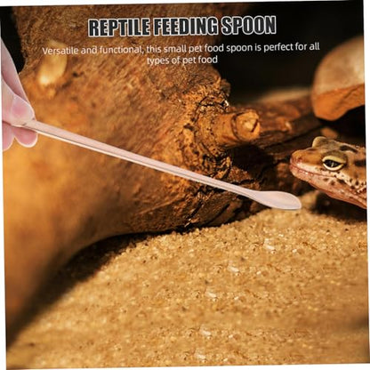 Toddmomy 2Pcs Reptile Feeding Spoon Durable Stainless Steel Spoons for Wet Food for Lizards Turtles and Small Animals Design Reusable and Easy to Clean