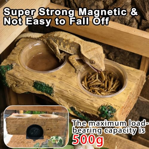 Tfwadmx Magnetic Reptile Feeder Ledge, Gecko Feeder Ledge with 6 Cups Reptile Feeding Bowls Food Dish Water Bowl Tank Accessories for Lizards Chameleons Frog - color: Yellow