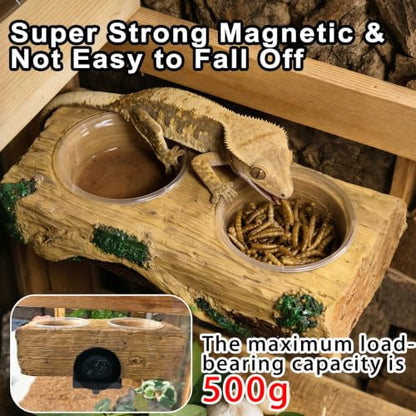 Tfwadmx Magnetic Reptile Feeder Ledge, Gecko Feeder Ledge with 6 Cups Reptile Feeding Bowls Food Dish Water Bowl Tank Accessories for Lizards Chameleons Frog - color: Yellow