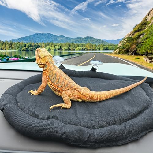 Bearded Dragon Bed - Black Reptile Sleeping Window Hammock Cushion, Lizard Couch Canvas Rubber Soft Mat Blanket Pad for Car Carrier, Tank Toys Accessories