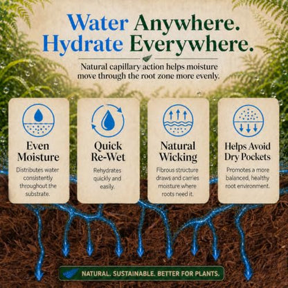 Fernwood Orchid Growing Medium and Reptile Substrate - 10 Liter (9.1 Quart) | Tree Fern for Orchids, Aroids, and Other Epiphytes | Use in Terrariums and Vivariums | Natural, Organic, Long Lasting
