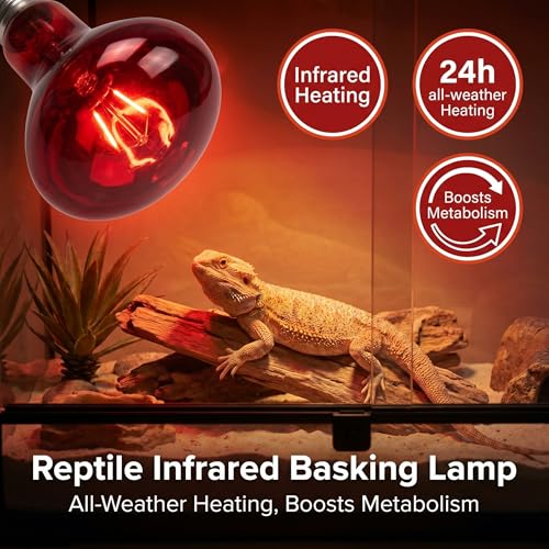 2Pack 150W Reptile Heat Lamp, Day & Night Basking Lamp Combo | UVA Daylight Heat Bulb & Infrared Red Night Heating Light, Terrarium Heat Lamps for Reptiles, Bearded Dragon, Lizard, Chicken