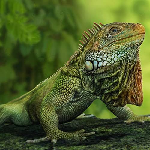 2 PCS Reptile Corner Branch Climbing Terrarium Plant Decoration Fake Vines Hanging with Suction Cup for Snakes Amphibian Bearded Dragons Lizards Frogs Geckos Tank Habitat Decor