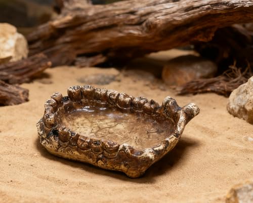 Food/Water Dish for Reptiles, Amphibians and Other Little Critters Water/Food Bowl, Made from Premium Resinl, Reptile Feeding Bowls for Bearded Dragon Lizard,Hermit Crab,Gecko,Tortoise - color: Dark Brown