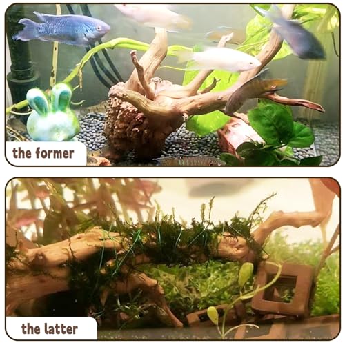 Hamiledyi 6-8in Aquarium Driftwood 3PCS Reptile Spider Wood Assorted Branches Natural Trunk Driftwood Tree Fish Tank Decoration - size: Spiderwood (6-8in 3PCS)