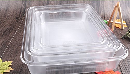 OMEM Reptile Drinking Tray - Large Water Dish Plastics Plate for Turtles, Small Reptiles, Ball Pythons, Lizards, and Snake Cages Bowl (S=27x21x4.7cm, White) - color: White, size: S=27*21*4.7