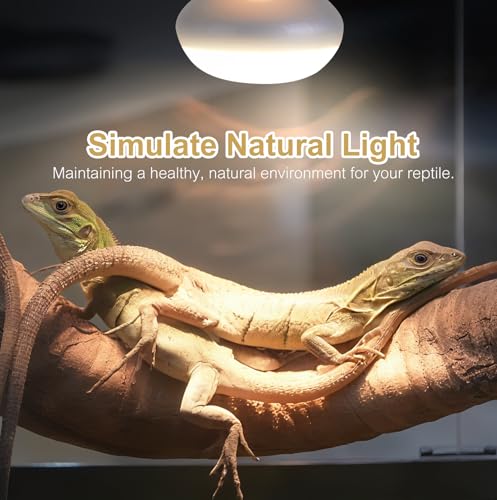 KINUR Reptile Heat Lamp Bulb-75W 2 Pack,UVA Basking Light,Natural Daylight Heating Light for Bearded Dragon,Turtle,Tortoise,Lizard,Snake,Gecko,Chicken with Digital Temperature Strips E26 - color: White-2 Pack