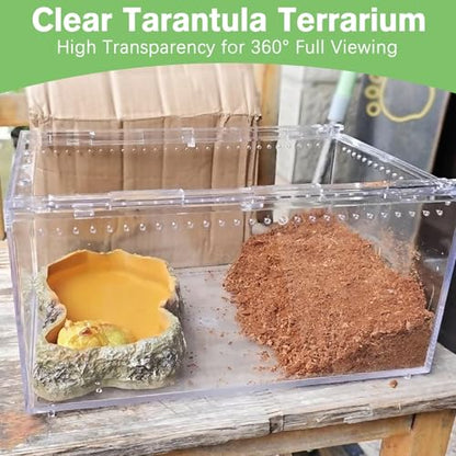 Reptile Terrarium Enclosure 8"x6"x4" Acrylic Tarantula Breeding Box Magnetic Hermit Crab Habitat Transparent Jumping Spider Cage for Insect Snail Amphibians Sling Isopods - size: S: Standard Version