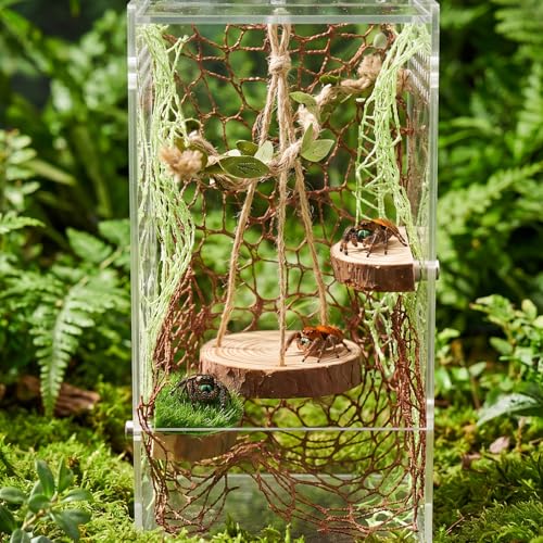 Jumping Spider Habitat Decor, Acrylic Insect Habitat Accessory Set with Magnetic Wooden Platform, Rope Ladder & Climbing Net, Natural Decor for Reptiles