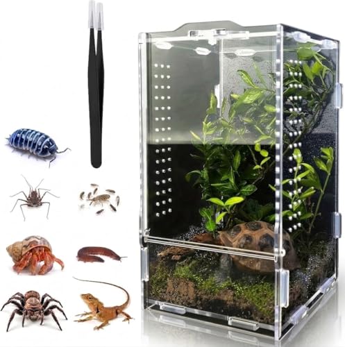 Jumping Spider Enclosure Kit, Clear Acrylic Terrarium Tank with Accessories, Vertical Reptile Habitat for Tarantula Mantis Bug Snail Hide, Anti-Escape Micro-Vent Front Opening Arboreal Starter Gift