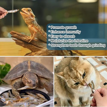 Dried River Fish Minnows, High-Protein Reptile Food, 5.5 oz | Single ingredient, no additives, whole-fish pieces, suitable for turtles, bearded dragons, tropical fish, amphibians and cats