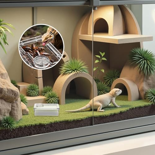 Reptile Food Dish Anti-Escape Crested Gecko Food Dish | Pet Supplies for Habitat Tank Cage Enclosure Feeding Chameleon Lizard Gecko Spider - color: White