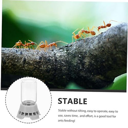 Abaodam Simple Ants Water Bowl Liquid Feeder for Ants Reptile Water Dispenser Station Random Color