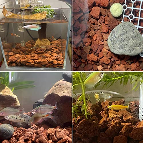 Tfwadmx 10 Pcs Aquarium Red Lava Rock Fish Tank Volcanic Pumice Stones for Shrimp Betta(1.18''-1.96'') - color: Red, size: M:1''-2''