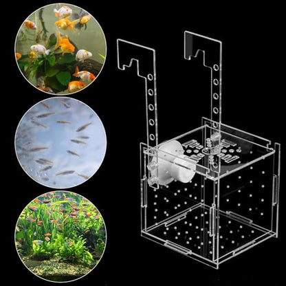 QWORK Acrylic Fish Breeding Isolation Box - Transparent Aquarium Incubator for Small Fishes Shrimp Clownfish Guppy, 3.9-inch