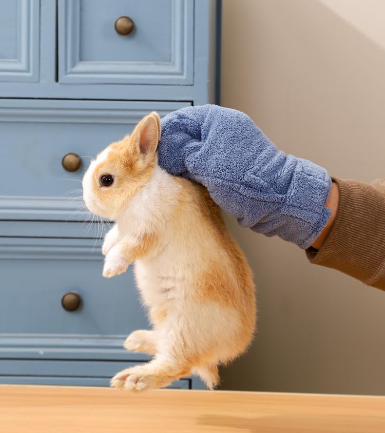 1 pc Hamster Glove Anti Bite Guinea Pig Handling Glove Bite Proof Rabbit Holding Glove Biting Protection Bath Wipe for Hedgehog Sugar Glider Gerbils Mice Rats Small Animals Parakeet (Pink) - color: pink