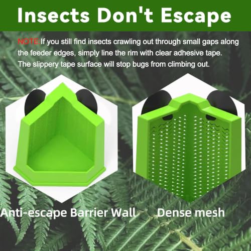 Bearded Dragon Feeder Chameleon Feeder for Mounted Insect (Medium) | Plastic,Anti-Escape,Corner,Crested Gecko Tank Accessories,with Rope Suction Cup and Tweezers,for Lizard Gecko Frog