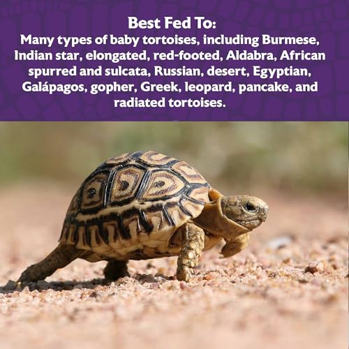 Mazuri | Juvenile Tortoise Food for Baby Tortoises | 8 Ounce (8 oz) Bag