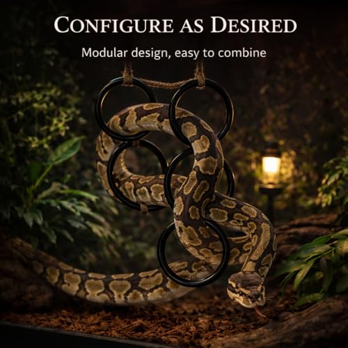 2PCS Snake Climbing Rings for Ball Python - Enrichment Toys for Corn Snake | Reptiletank Cage Decor Habitat Accessories | Terrarium, Bearded Dragon, Chameleon, Iguana, Gecko, Lizard, Parrot