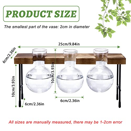Propagation Station, 3 Pcs Bulb Vase Glass Plant Propagation Station Modern Desktop Glass Planter Hydroponic Table Top Planter Glass Flower Vases for Home Garden Office Coffee Table Décor
