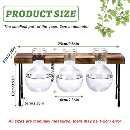 Propagation Station, 3 Pcs Bulb Vase Glass Plant Propagation Station Modern Desktop Glass Planter Hydroponic Table Top Planter Glass Flower Vases for Home Garden Office Coffee Table Décor