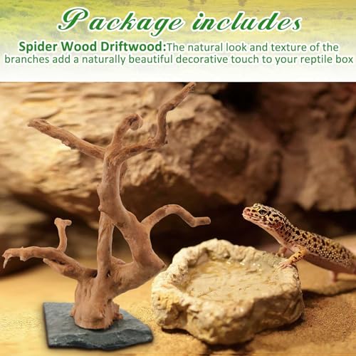 AceOrbit Large Driftwood for Aquarium, 8.5-11.5 Inch Spider Wood on Slate Stone, Natural Spiderwood Aquarium Driftwood Aquascaping Wood for Reptile Enclosure, Terrarium, Reptile Tank, Fish Tank Decor