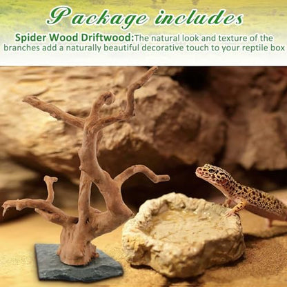 AceOrbit Large Driftwood for Aquarium, 8.5-11.5 Inch Spider Wood on Slate Stone, Natural Spiderwood Aquarium Driftwood Aquascaping Wood for Reptile Enclosure, Terrarium, Reptile Tank, Fish Tank Decor
