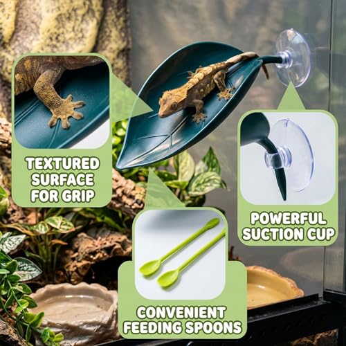 5PCS Crested Gecko Hides, Crested Gecko Hide and Wall Crawler Geckos, Leaf Decorations with Suction Cups for Reptile Terrariums, Cresteds Gecko Decor and Geckos Hides Accessories
