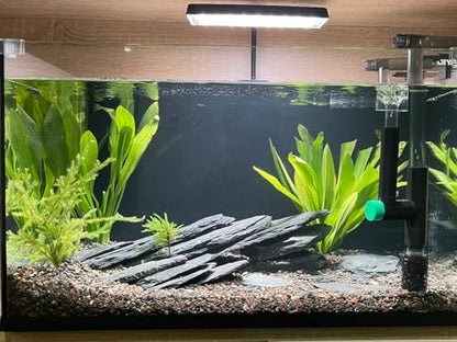 Fish Tank Rock Natural Slate Rocks 2 to 8 inch Aquariums Stone for Aquascaping,Terrariums, Reptile Enclosures,Paludariums,and Gardens-20lb - size: 20lb（2-8'')