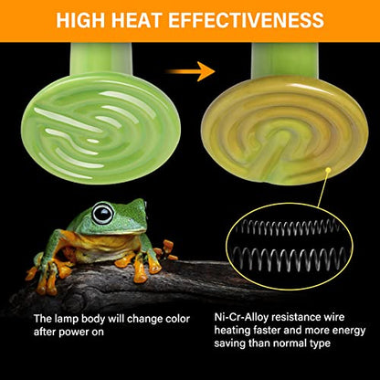 Simple Deluxe 150W 2-Pack Ceramic Heat Emitter Reptile Heat Bulb No Light, LCD Digital Aquarium Thermometer, for Reptile Amphibian, 2 Pack, Green - color: Green, size: 2 Pack