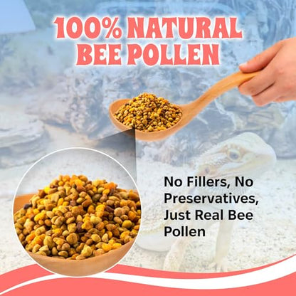 Bee Pollen Nuggets for Reptiles – Natural Supplement for Bearded Dragons, Skinks, and More – Reptile Bee Pollen Powder, Appetite Booster – 2 oz Resealable Pack
