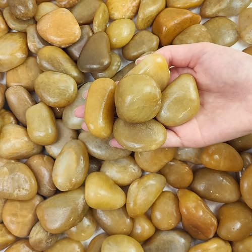 FANTIAN 5 lbs Yellow River Rocks, 1-2 Inch Polished Pebbles for Indoor Plants, Decorative Rocks Stones for Landscaping, Vases, Aquariums, Fountains, Pathways, Backyard and Garden - color: Yellow, size: 5 lbs, 1-2 Inch