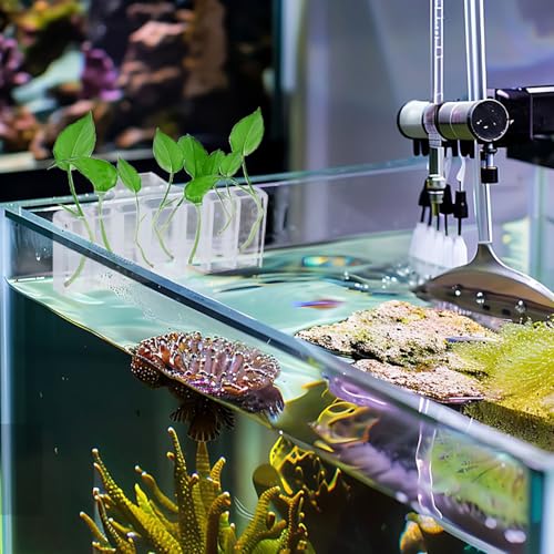 2PC 7 Holes Upgraded Aquarium Plant Holder, Aquatic Plants Cup for Tank, Fish Tank Plant Holder with Long Hook, Aquarium Feeder for Aquascape Decorations on Top of Tank (Transparent-2PC) - color: Transparent-2PC