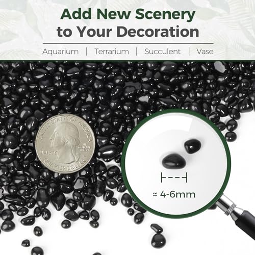 T4U Rocks for Aquarium and Plants, Black Polished Pebbles Gravel 1 lb | Smooth rounded stones for aquarium substrate, fish tank decor, succulent top dressing, vase filler and outdoor landscaping - color: #12 - Black, size: 1 LB
