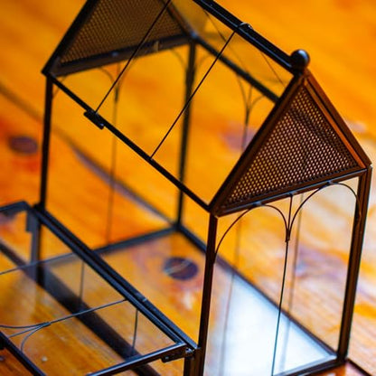 NCYP Small Glass Terrarium Enclosure with Mesh for Jumping Spiders, Micro House Shaped Small Spiders Vented Glass Terrarium, Home Decor Black, 5.8" x 3.8" x 7" (No Plants) - size: 5.8" x 3.8" x 7"
