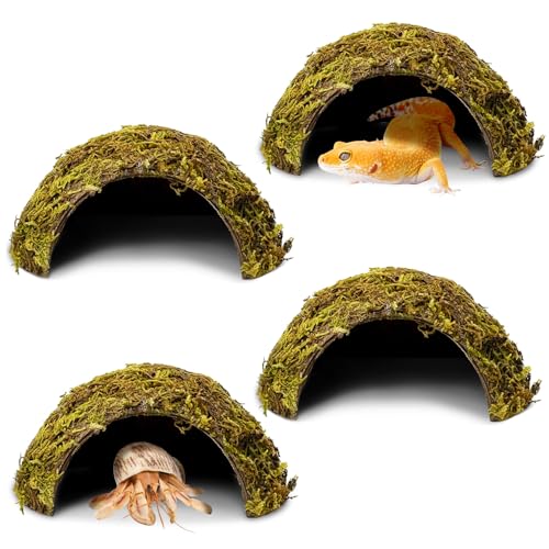 PINVNBY 4 Pack Natural Green Moss Hide Caves Coconut Reptile Hideouts Hamster Climbing Toys Gecko Habitat Decor Lizard Shell Shelter for Snake Tarantulas Turtle Chameleon - size: 4 PCS Moss Surface